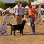 IMG-20260624-WA0004